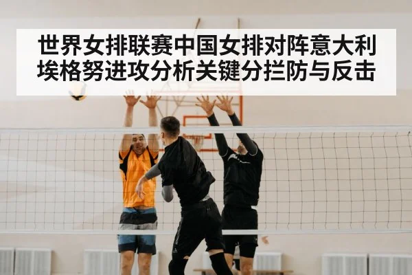 volleyball block net