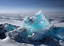 数据分析-胡金秋、赵继伟走进校园 CBA全明星场外也温暖